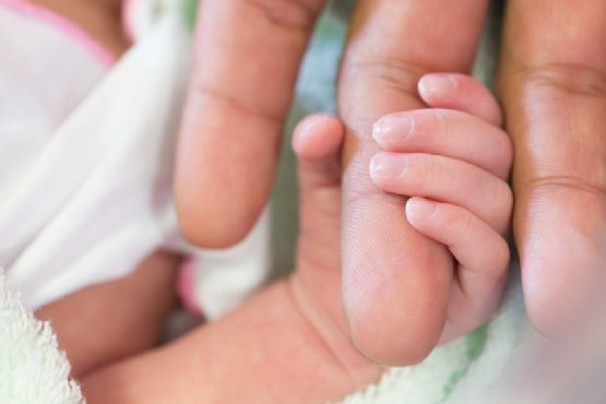 newborn in the maternity ward